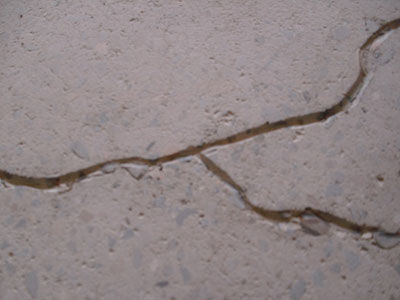 repair concrete floor